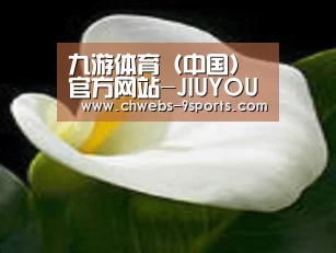 产品名称七