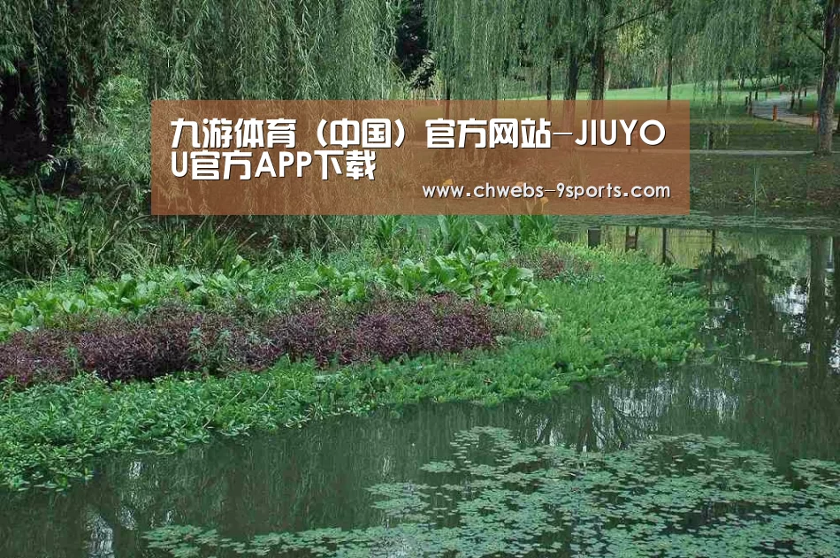 案例展示一