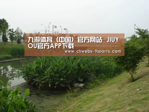 案例展示四