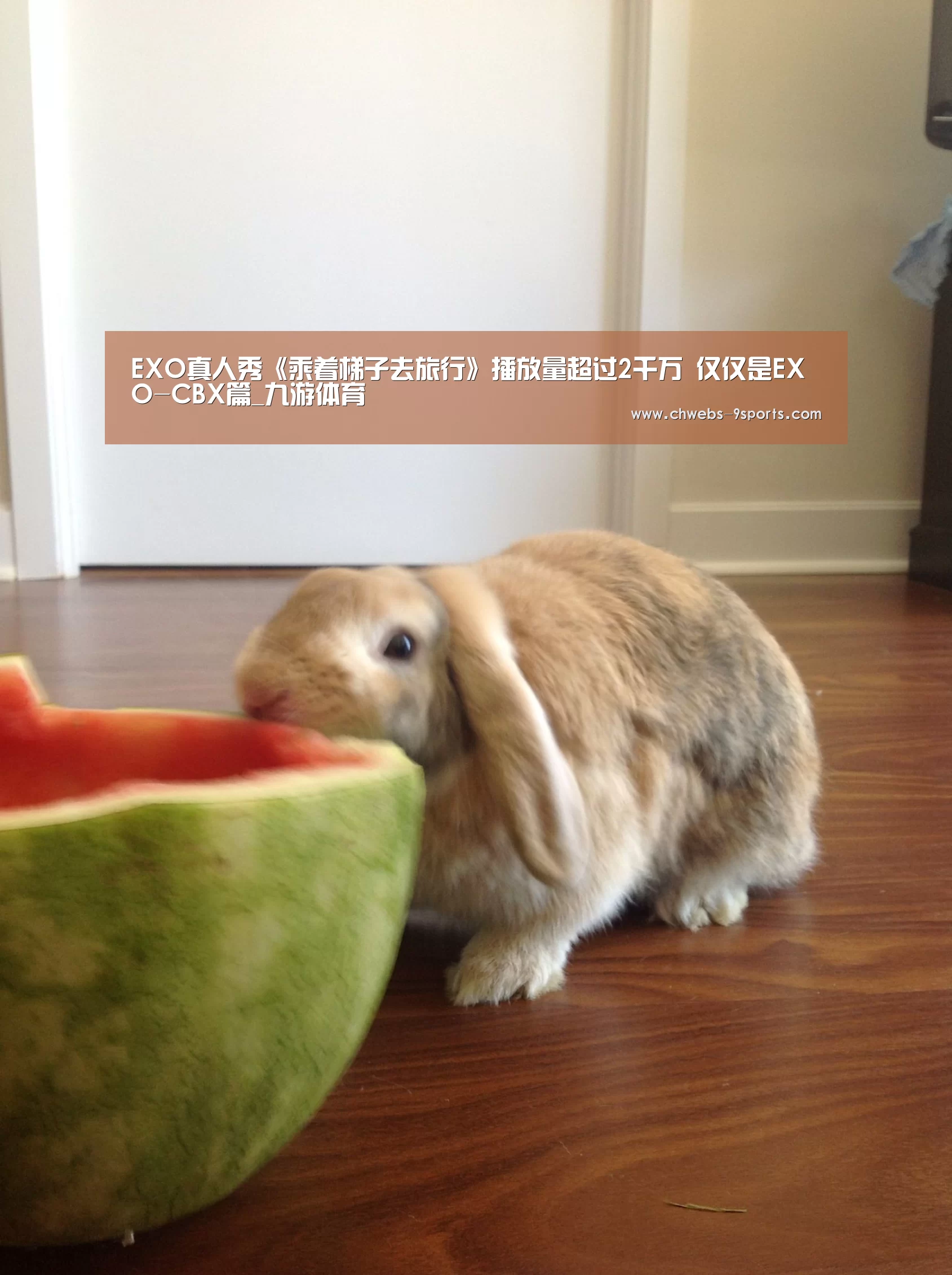 九游体育