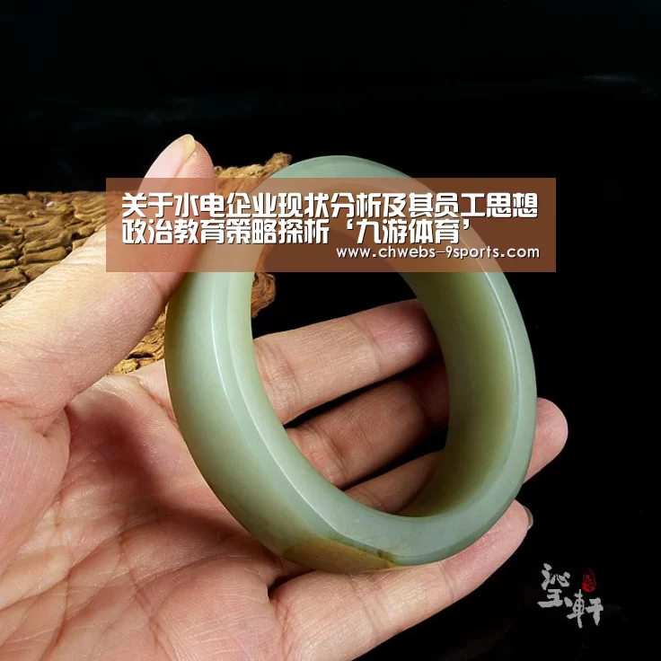 关于水电企业现状分析及其员工思想政治教育策略探析‘九游体育’