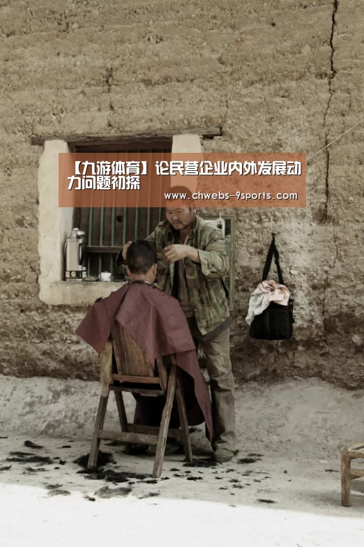 【九游体育】论民营企业内外发展动力问题初探
